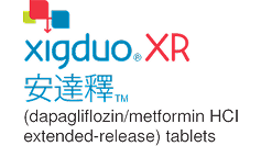 Xigduo XR安达释